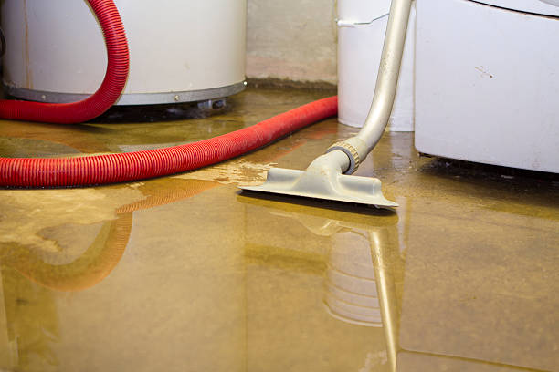Best Sewage cleanup and water damage restoration  in Atco, NJ