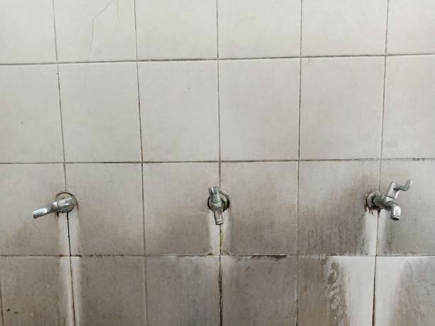 Best Flood damage cleanup  in Atco, NJ