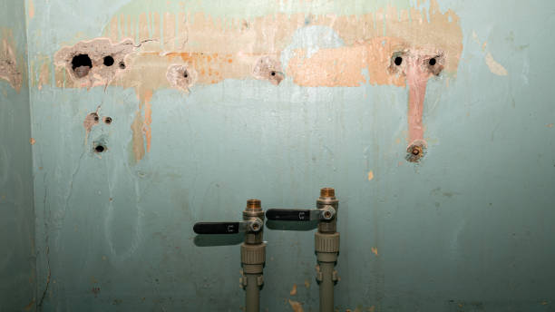Best Professional water damage repair  in Atco, NJ
