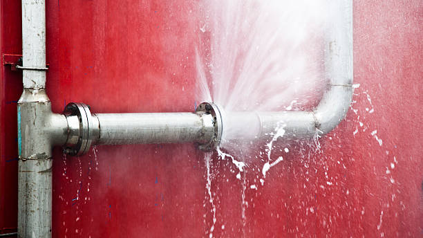Best Carpet water damage restoration  in Atco, NJ